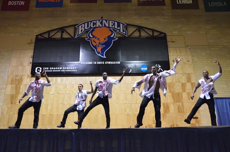 Bison Stomp Out dazzles audience