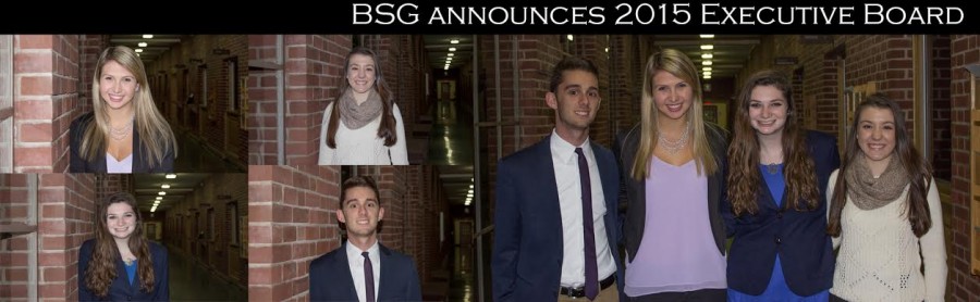 BSG announces 2015 Executive Board