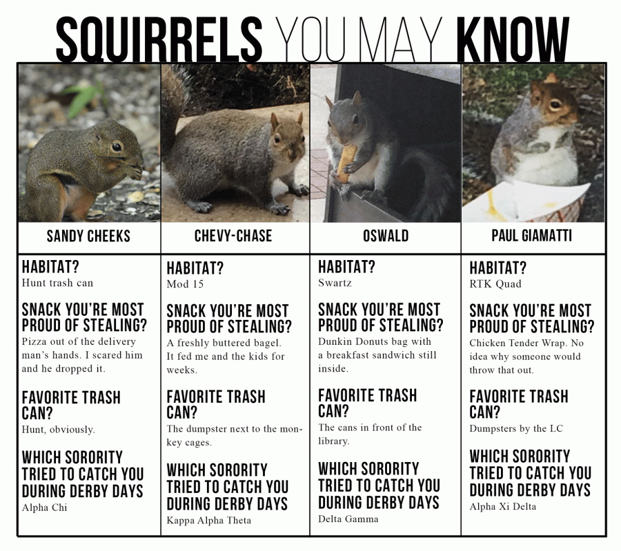 Squirrels You May Know