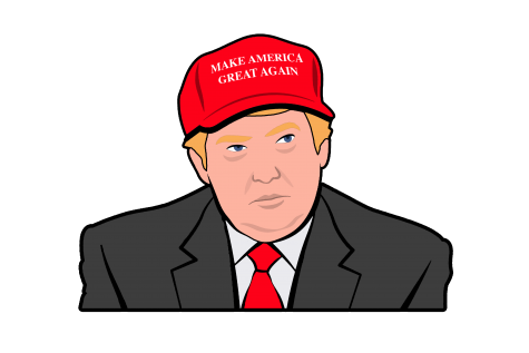 Illegitimate voting system or whiny candidate?