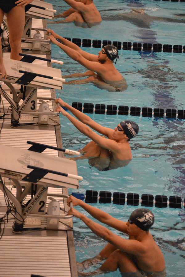 Swimming and diving splits meet against Lehigh