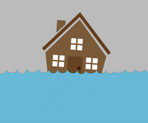 Reality of climate change shows real effects