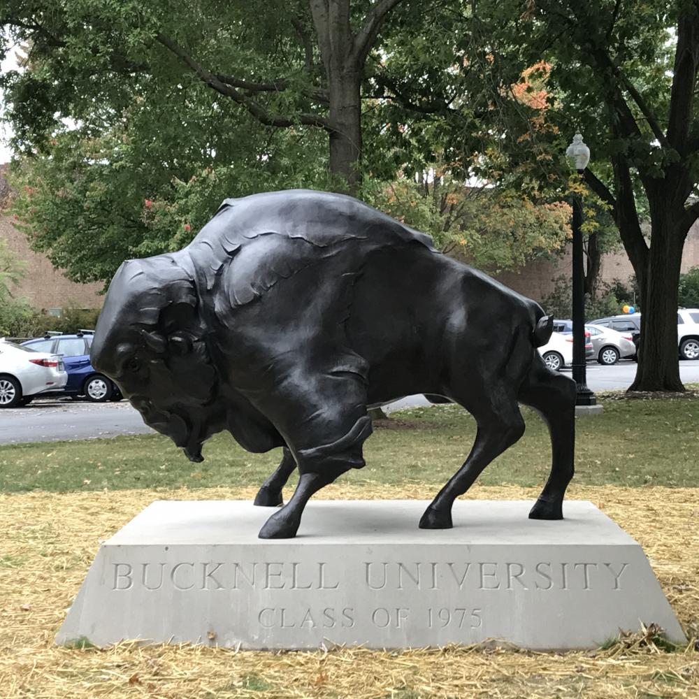 Bison+on+the+move%3A+Mascots+find+new+homes+on+campus