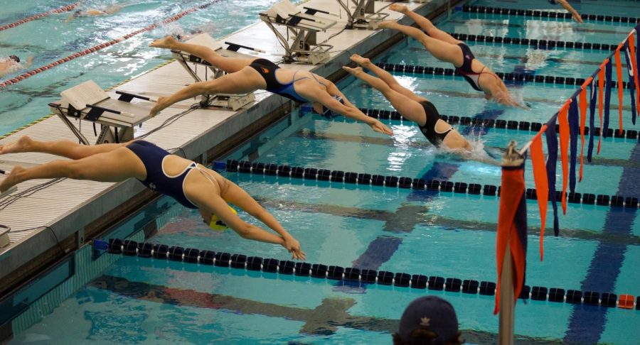 Sports Womens Swim and Dive