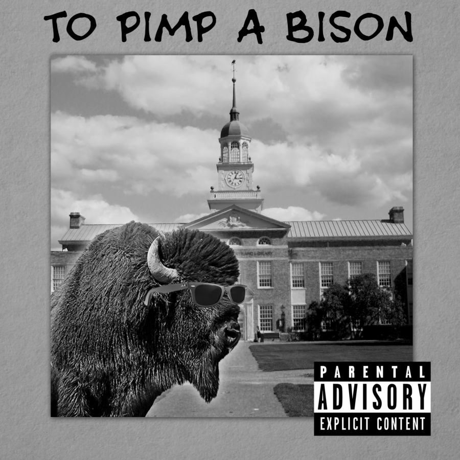 To Pimp a Bison
