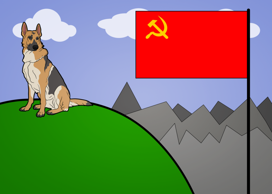 Communist Dog Color