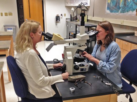Summer research programs
