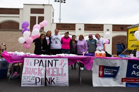 Paint Bucknell Pink 5K