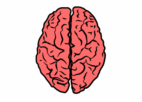 Beyond the Bison: new NFL regulations aim to reduce infamous concussion frequency