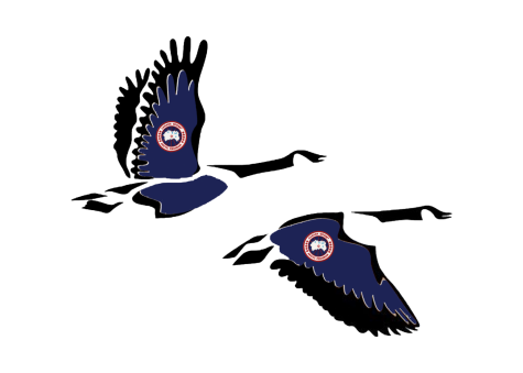 Canada Geese flock to Lewisburg for the winter