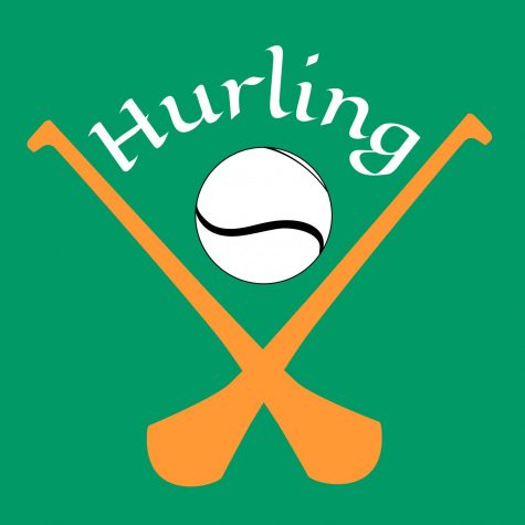 Beyond the Bison: Meet Ireland’s national pastime