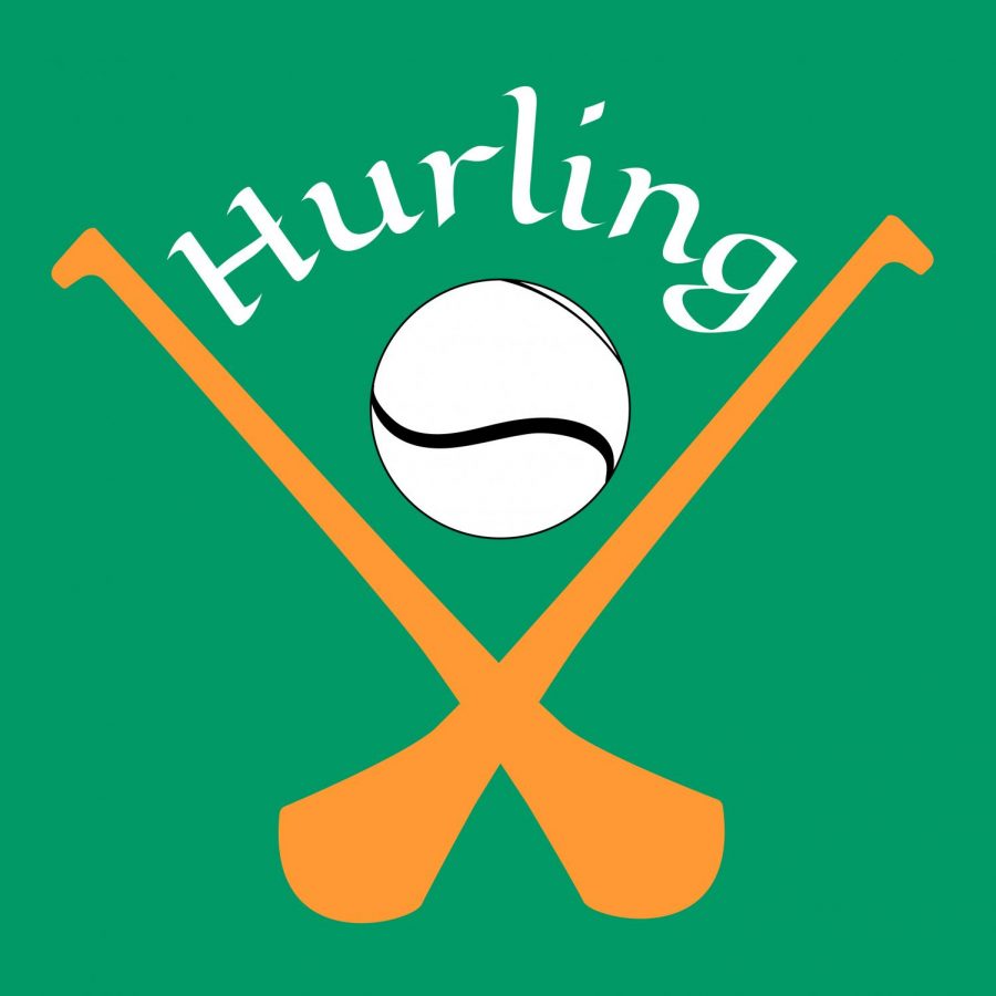 Hurling color (2)