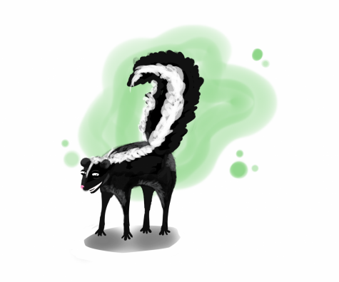 Skunk wreaks havoc on campus, causing university student to reek