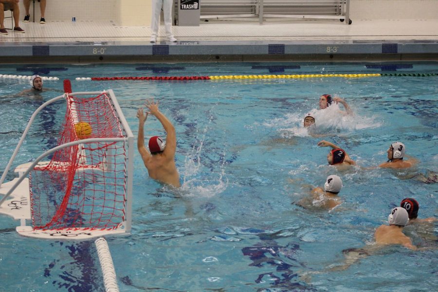 Water polo makes a splash at Bison Invitational