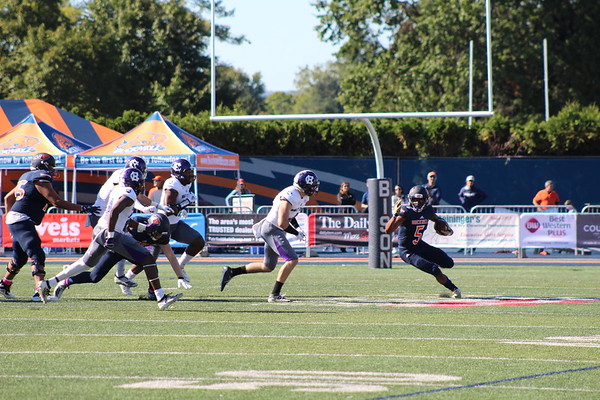 Football comes up just short against Holy Cross