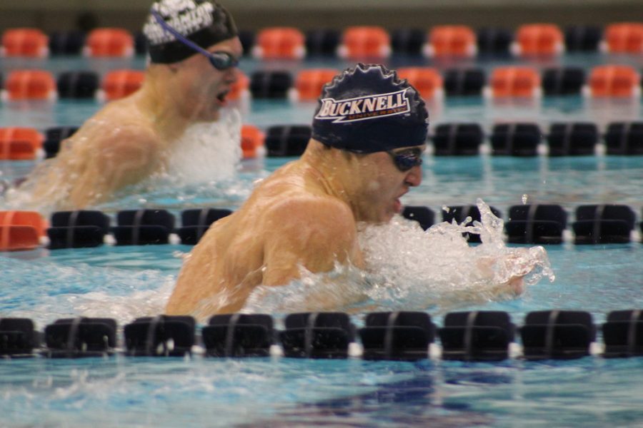 Swimming and diving dominates, defeats Binghamton in home opener