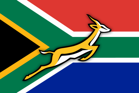 Rugby World Cup win met with mixed reactions in South Africa