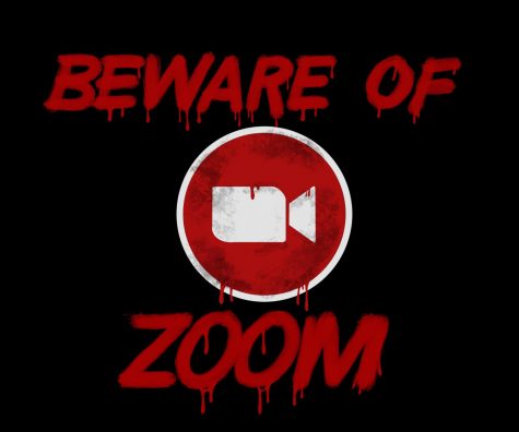 Zoom into crisis