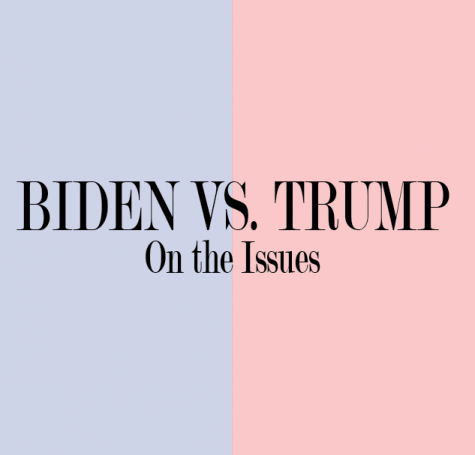 Biden vs. Trump: On the issues