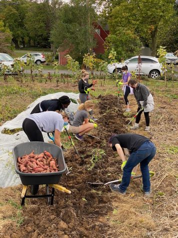 Lewisburg Community Garden and Bucknell Farm spotlight