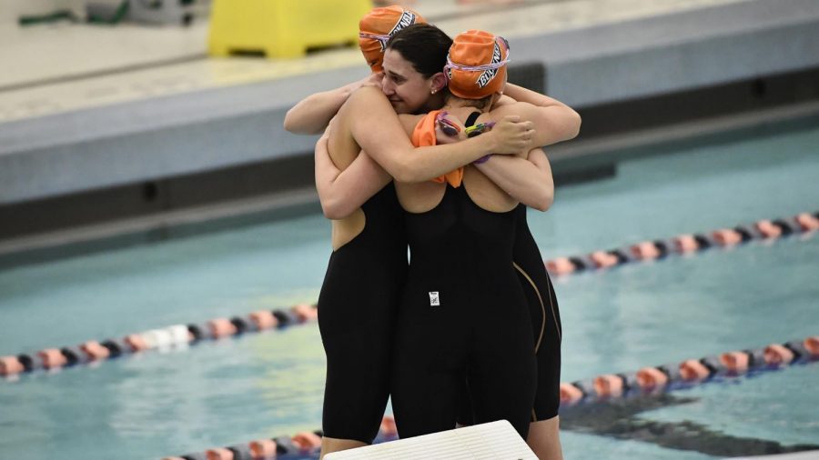 Bison swimming and diving end with a big splash