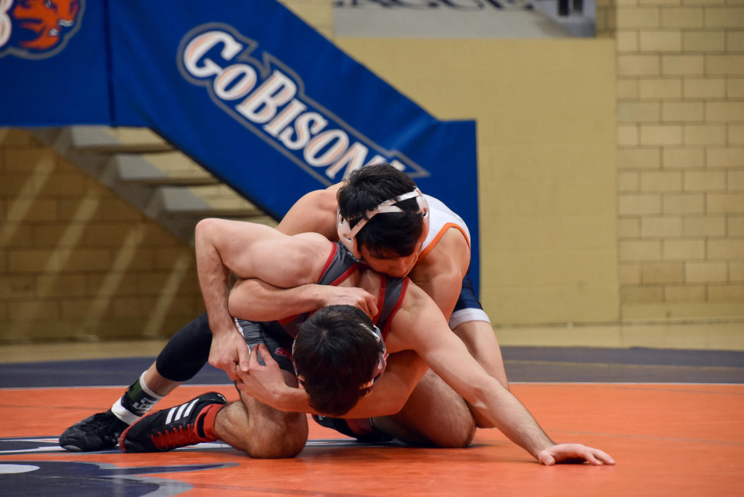 The Bison Wrestling Team excels on the mat The Bucknellian