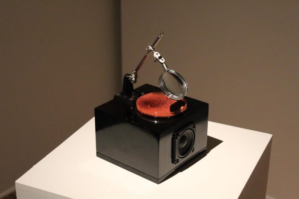 ‘Seeing sound’ in the Samek Art Museum